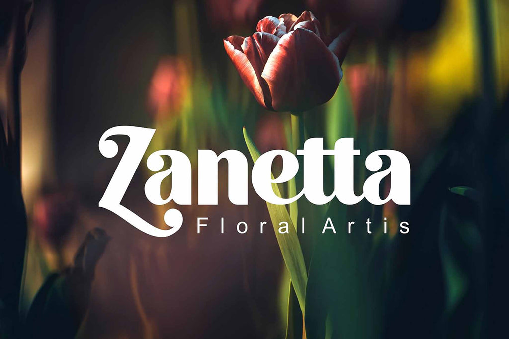 Quacker Sans Serif Font