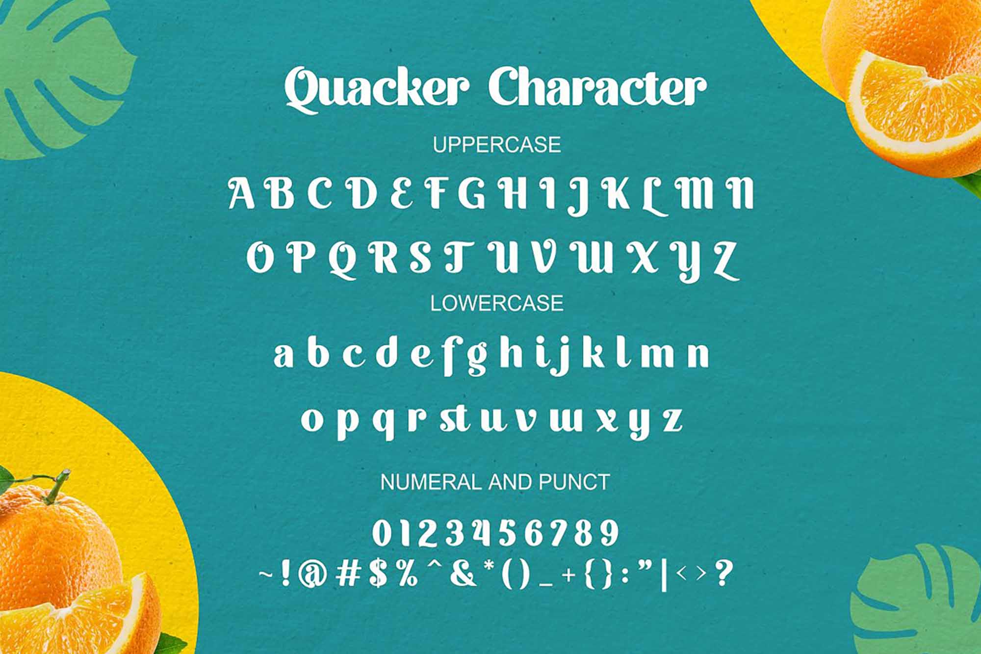 Quacker Sans Serif Font